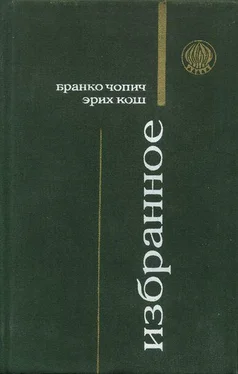 Бранко Чопич Суровая школа (рассказы) обложка книги