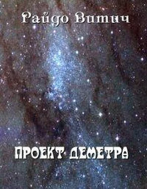 Райдо Витич Проект Деметра обложка книги