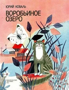 Юрий Коваль Воробьиное озеро (авторский сборник)