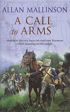 Allan Mallinson A Call to Arms обложка книги