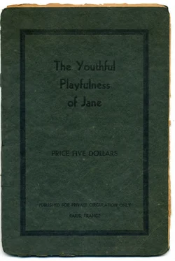 Anonymous The youthful playfulness of Jane обложка книги