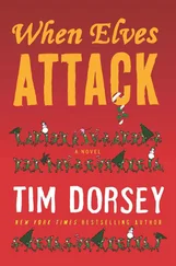 Tim Dorsey - When elves attack