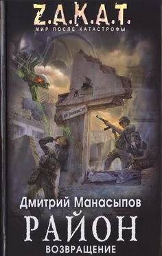 Дмитрий Манасыпов Район. Возвращение обложка книги