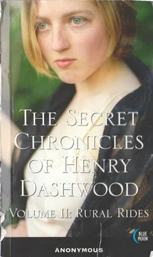 Anonymous The Secret Chronicles of Henry Dashwood, Vol. 2