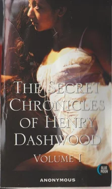 Anonymous The Secret Chronicles of Henry Dashwood, Vol. 1 обложка книги