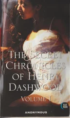 Anonymous - The Secret Chronicles of Henry Dashwood, Vol. 1