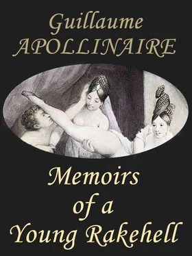 Guillame Apollinaire Memoirs of a young Rakehell обложка книги