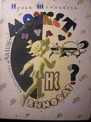 Ирина Токмакова - Может, нуль не виноват?