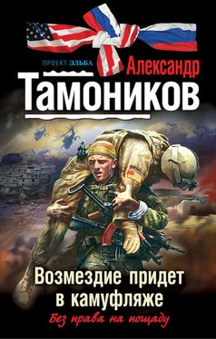 Александр Тамоников Возмездие придет в камуфляже обложка книги