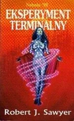 Robert Sawyer - Eksperyment terminalny