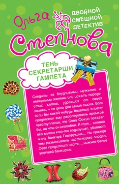 Ольга Степнова Тень секретарши Гамлета обложка книги