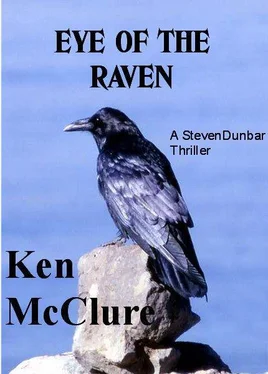 Ken McClure Eye of the raven обложка книги