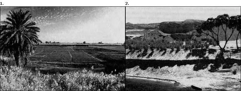 1 Плодородные поля в Нильской долине 2 Берега Нила Грандиозное зрелище - фото 2