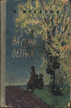 Алексей Мусатов На семи ветрах обложка книги