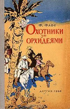 Франтишек Флос Охотники за орхидеями обложка книги