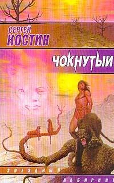 Сергей Костин Чокнутый обложка книги