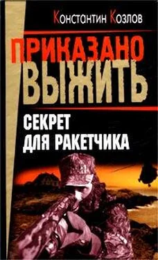 Константин Козлов Секрет для ракетчика обложка книги