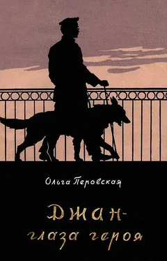 Ольга Перовская Джан — глаза героя обложка книги