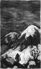 Jarosław Grzędowicz - Pan Lodowego Ogrodu. Tom II