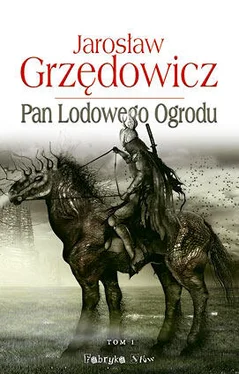 Jarosław Grzędowicz Pan Lodowego Ogrodu. Tom I обложка книги