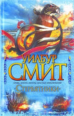 Уилбур Смит Стервятники обложка книги