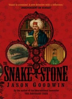 Jason Goodwin The snake stone обложка книги