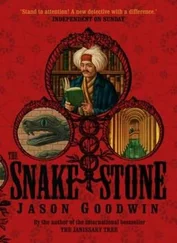 Jason Goodwin - The snake stone