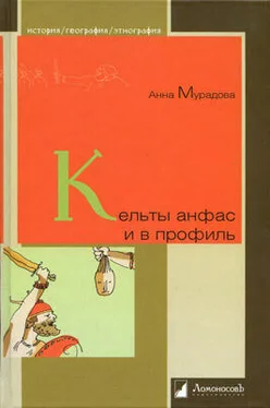 Анна Мурадова Кельты анфас и в профиль обложка книги