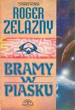 Roger Żelazny Bramy w piasku обложка книги