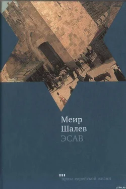 Меир Шалев Эсав обложка книги
