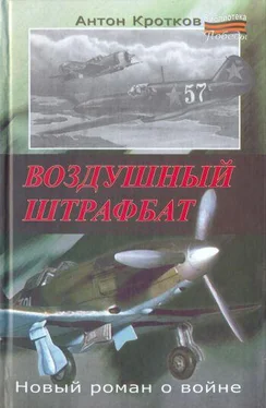 Антон Кротков Воздушный штрафбат обложка книги