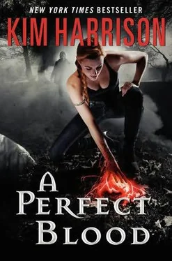 Kim Harrison A Perfect Blood обложка книги