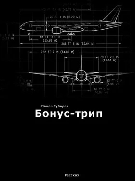 Павел Губарев Бонус-трип обложка книги