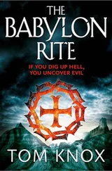 Tom Knox - The Babylon rite