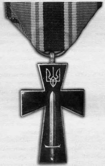 Під час Визвольної війни 19171921 рр вдалося здійснити нагородження лише - фото 136