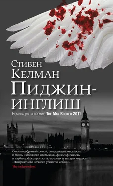 Стивен Келман Пиджин-инглиш обложка книги