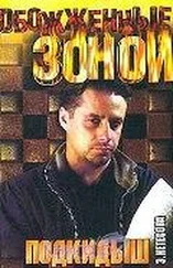 Эльмира Нетесова - Подкидыш