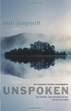 Mari Jungstedt Unspoken обложка книги