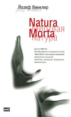 Йозеф Винклер Natura Morta обложка книги