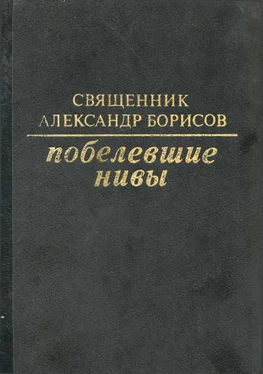 Александр Борисов Побелевшие нивы обложка книги