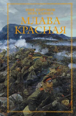 Вера Камша Млава Красная обложка книги