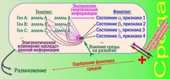 Рис 2 Тут показаны лишь некоторые усложняющие работу отбора по сортировке - фото 2