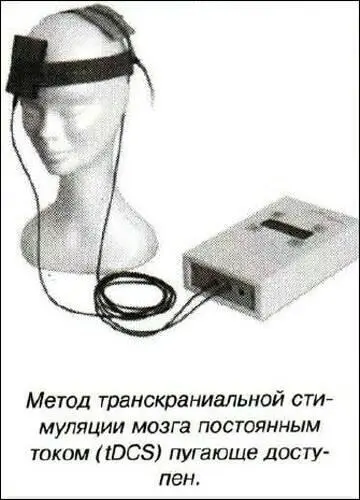 В отдельных случаях если в мозг вставить электрод и подать на него напряжение - фото 23