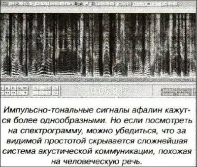 Теоретикоинформационный подходПроблеме продуктивности коммуникативной системы - фото 4