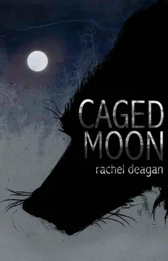 Rachel Deagan Caged Moon обложка книги