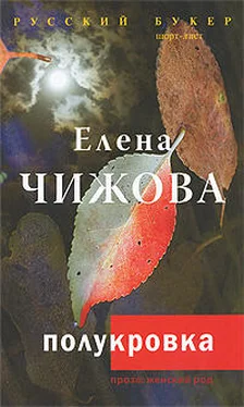 Елена Чижова Полукровка обложка книги