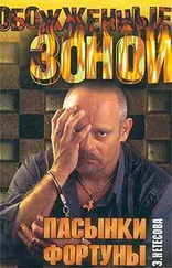 Эльмира Нетесова - Пасынки фортуны