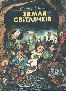 Віктор Близнець Земля світлячків обложка книги