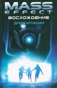 Дрю Карпишин Восхождение обложка книги