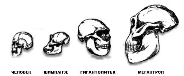 Очевидно такова была биосфера благоприятные природные условия большое - фото 72